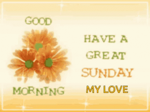 Good Morning Have a Great Sunday Greeting Card