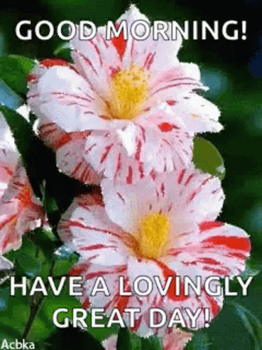 Good Morning Have A Lovingly Great Day GIF