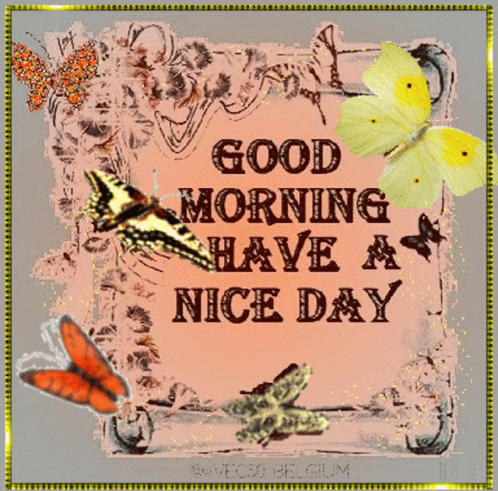 Good Morning Have a Nice Day Card With Butterflies
