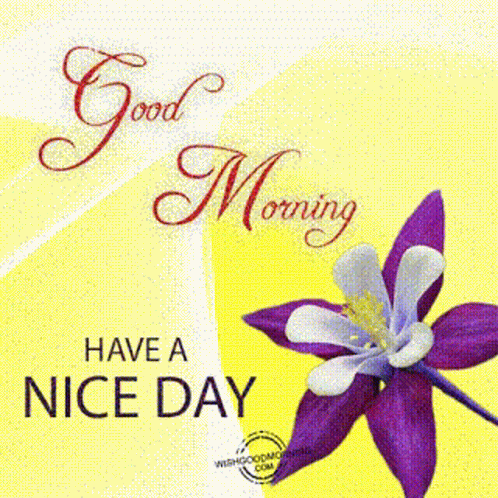 Good Morning Have A Nice Dayआपकादिनशुभहो GIF