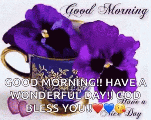 Good Morning Have A Wonderful Day GIF