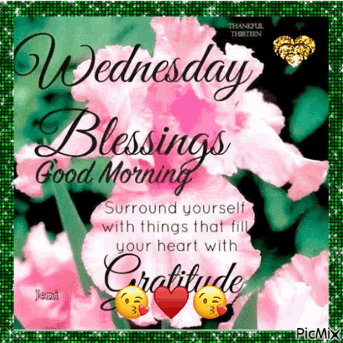 Good Morning Have Gratitude It's Wednesday GIF