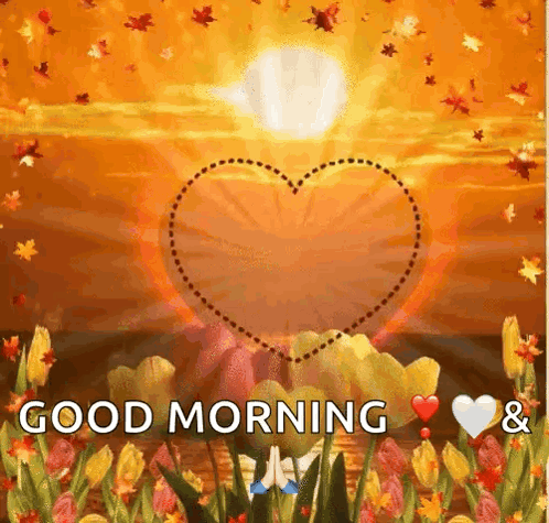 Good Morning Heart In Flower Field GIF