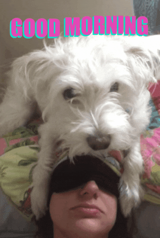 Good Morning Hug Dog Kiss GIF
