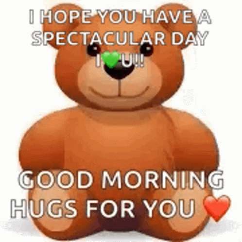 Good Morning Hugs For You Bear GIF