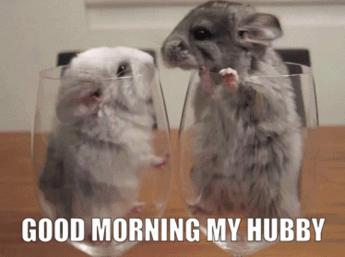 Good Morning Husband Of A Lovely Mouse GIF