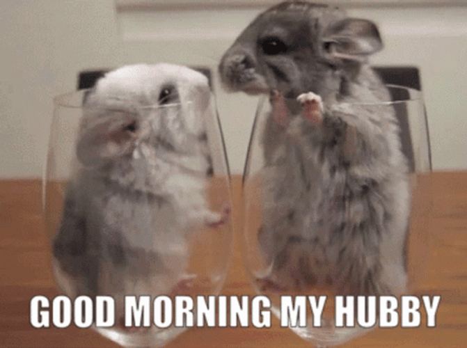Good Morning Husband Of A Lovely Mouse GIF