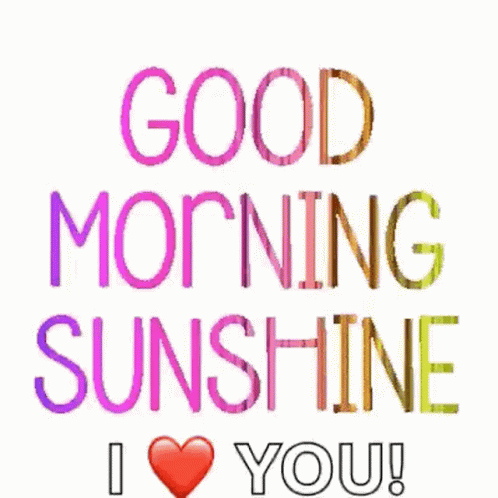 Good Morning I Love You Sunshine GIF