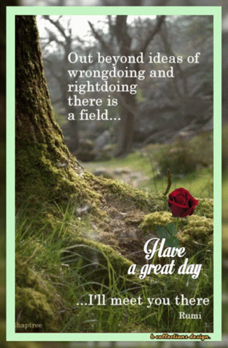Good Morning Great Day Inspirational Text GIF