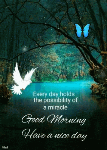 Good Morning Have A Nice Day Inspirational Text GIF