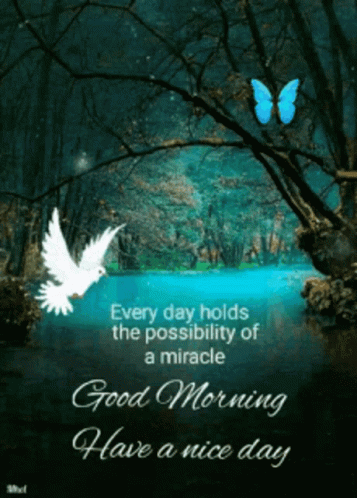 Good Morning Inspirational Day Peace Dove GIF