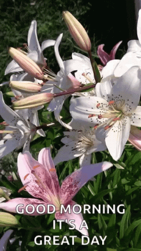 Good Morning It's a Great Day Flowers