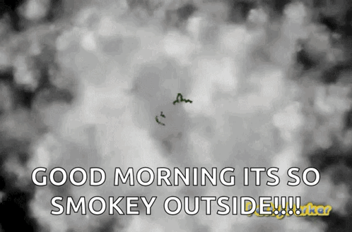 Good Morning It's So Smokey Outside Black And White