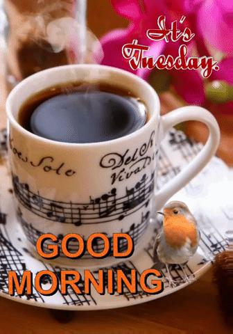 Good Morning It's Tuesday Coffee With Bird GIF