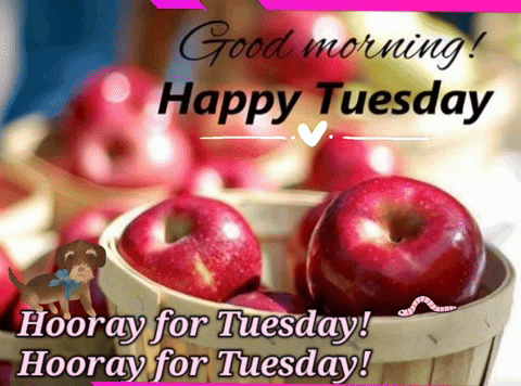 Good Morning It's Tuesday Fresh Apples GIF