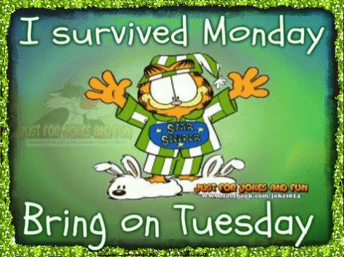 Good Morning It's Tuesday Happy Garfield GIF