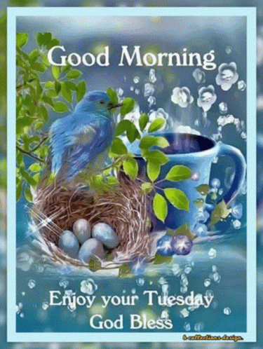 Good Morning It's Tuesday Nesting Blue Bird GIF