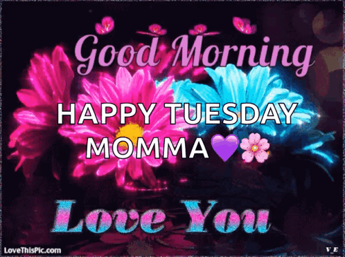 Good Morning It's Tuesday Purple Blue Flowers GIF