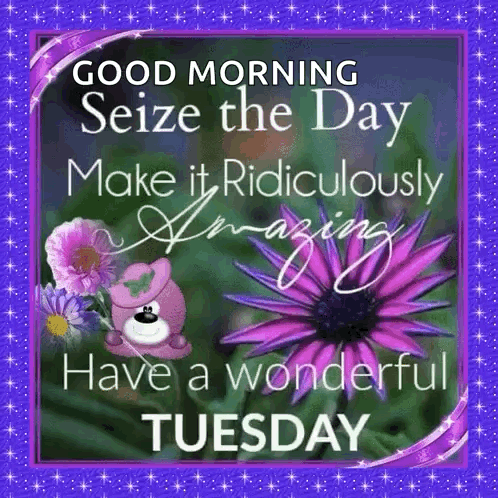 Good Morning It's Tuesday Seize The Day GIF