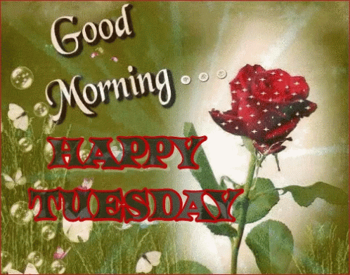 Good Morning It's Tuesday Shiny Red Rose GIF