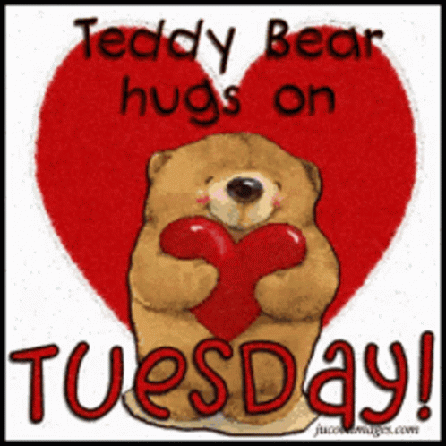 Good Morning It's Tuesday Teddy Bear Hug GIF