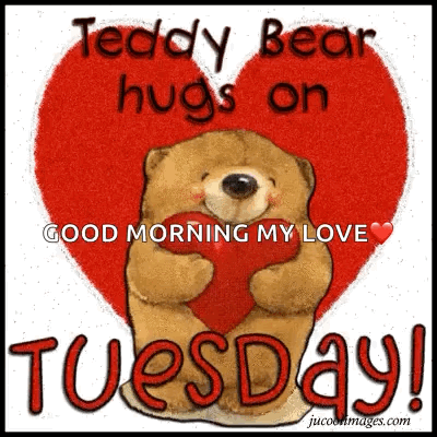 Good Morning It's Tuesday Tight Bear Hug GIF