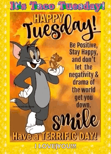 Good Morning It's Tuesday Tom The Cat GIF