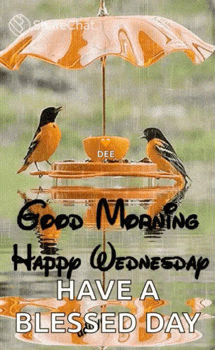 Good Morning It's Wednesday Blessed Day GIF