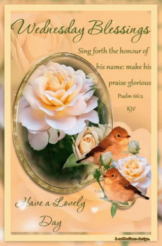 Good Morning It's Wednesday Feel Blessed GIF