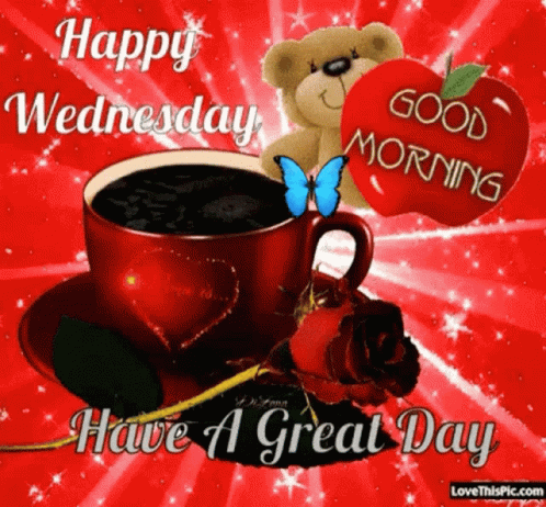 Good Morning It's Wednesday Stay Motivated GIF