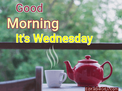 Good Morning Its Wednesday GIF