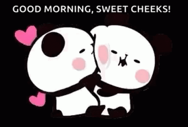 Good Morning Kiss Couple Panda GIF 