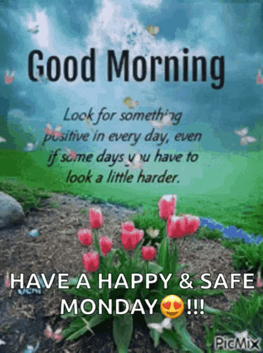 Good Morning Look For Something Positive In Every Day , Even If Some Days You Have To Look A Little Harder Have A Happy  GIF