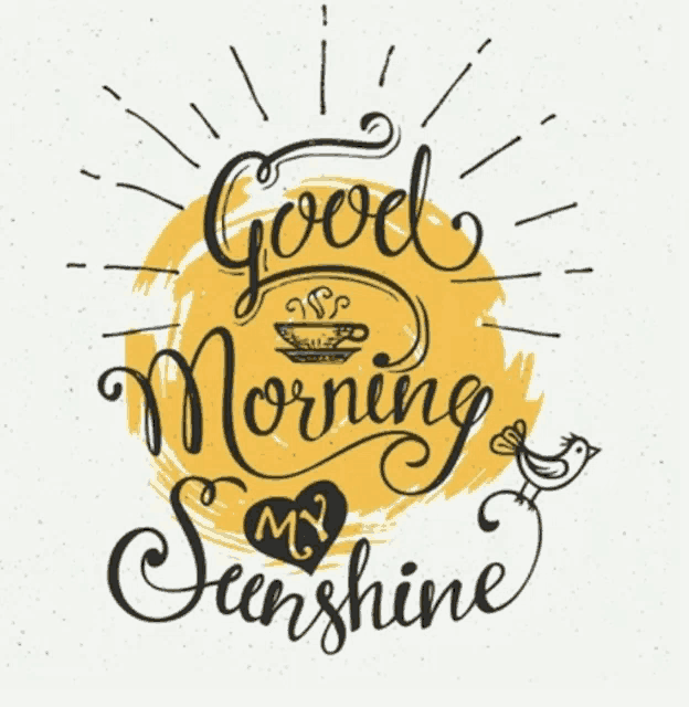 Good Morning Meme GIF