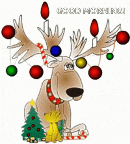 Good Morning Merry Christmas Wednesday Deer GIF