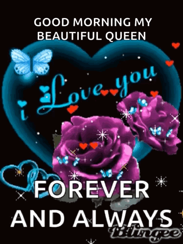 Good Morning Message Beautiful Queen Purple Roses Butterflies