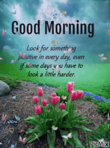 Good Morning Message With Flowers