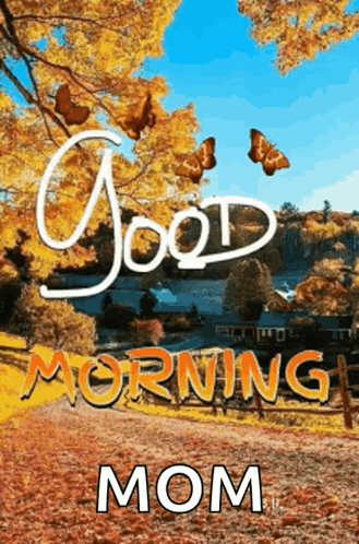 Good Morning Mom Poster With Butterflies