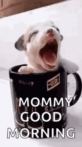 Good Morning Mom Puppy Cup Yawn GIF