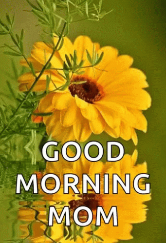 Good Morning Mom Yellow Flower Reflection GIF