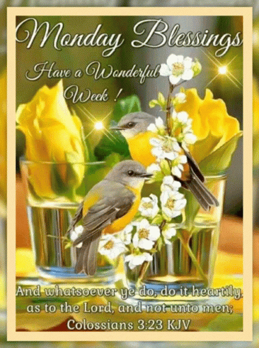 Good Morning Monday Blessings Colossian GIF