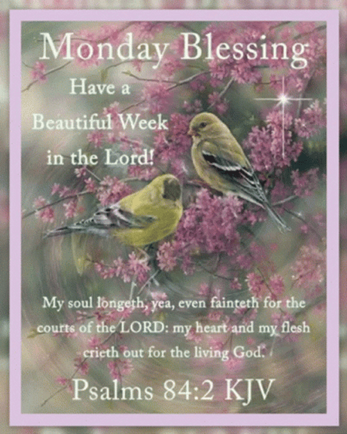 Good Morning Monday Blessings Beautiful Week GIF