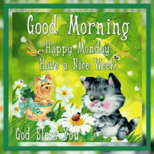 Good Morning Monday Blessings Nice Week GIF