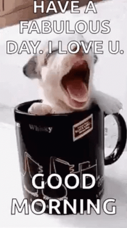 Good Morning Monday Funny From Puppy In Mug GIF