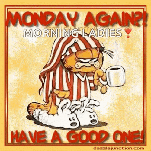Good Morning Monday Funny Of Garfield GIF