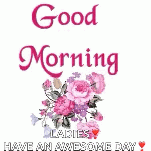 Good Morning Morning GIF