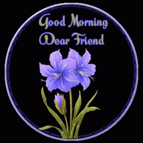 Good Morning My Friend The Seed Of Life GIF