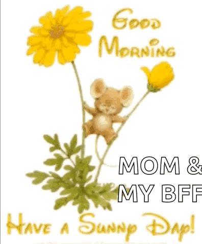 Good Morning My Friend Yellow Flowers GIF