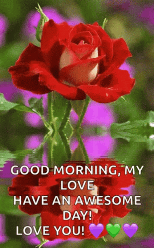 Good Morning My Love Awesome Day GIF