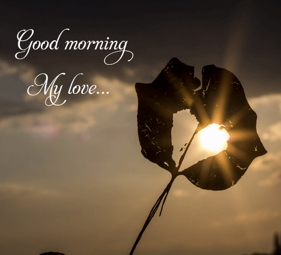 Good Morning My Love Leaf Sunrise GIF